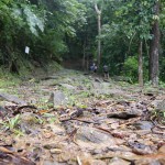 Along the trail, carib_boy Along the trail, carib_boy
