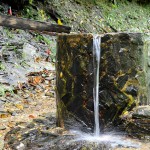 Water trough at the trail head, DhannyP Water trough at the trail head, DhannyP