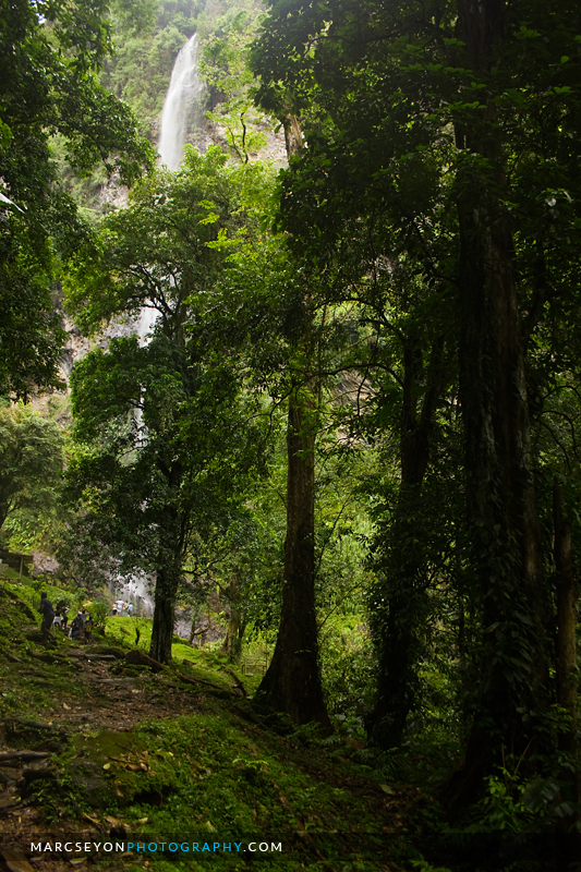 Maracas Waterfall First Look, Marc Seyon Maracas Waterfall First Look, Marc Seyon