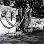 Morning along the road to Pigeon Point Morning along the road to Pigeon Point