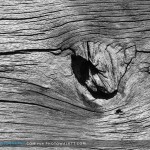 A different look at the jetty at Pigeon Point A different look at the jetty at Pigeon Point